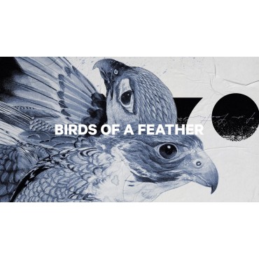Deska snowboardowa Capita Birds Of Feather 2024
